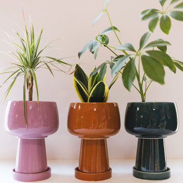 Kaya 3-Piece Ceramic Planter by Justina Blakeney™ Jungalow® Planters